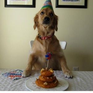 Meet your Posher, Karen